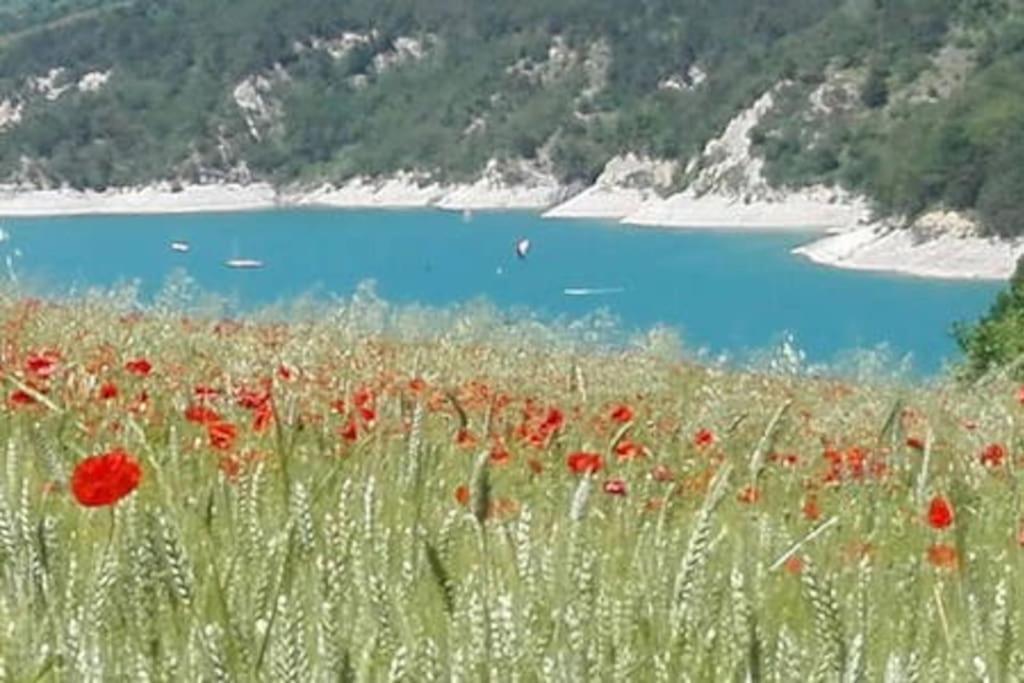 Gite De Charme : La Grange Au Lac Azur Treffort  ภายนอก รูปภาพ